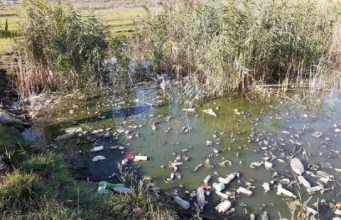 Сергей Анастасов: «У нас в городе вонь, а мы песни поем!»