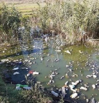 Сергей Анастасов: «У нас в городе вонь, а мы песни поем!»