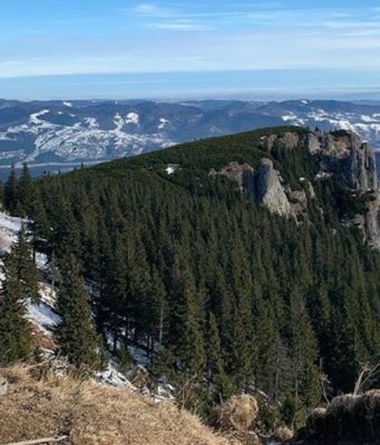 “Они голодают, а Майя отдыхает”: Цырдя о каникулах Санду в горах “за счет пожертвований граждан”