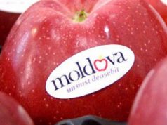 Российская Федерация открыла свой рынок для еще 205 молдавских компаний