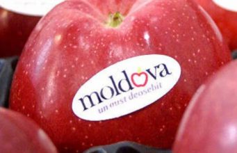 Российская Федерация открыла свой рынок для еще 205 молдавских компаний