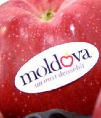 Российская Федерация открыла свой рынок для еще 205 молдавских компаний