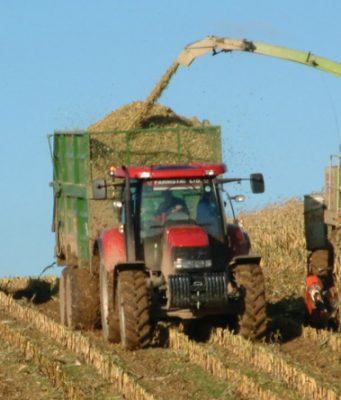 Россия поможет дизтопливом аграриям Молдовы сельское хозяйство