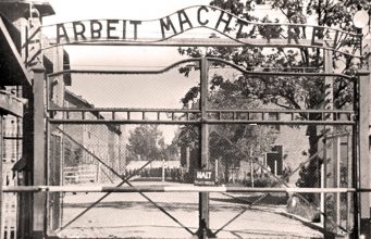 «Люди должны знать, что такое война»: бывшие узницы Освенцима — о концлагере и попытках переписать историю