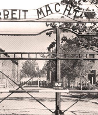 «Люди должны знать, что такое война»: бывшие узницы Освенцима — о концлагере и попытках переписать историю