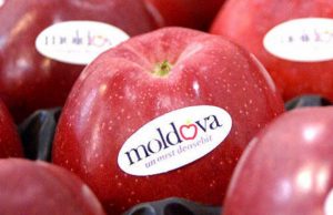 Россия продлила еще на полгода нулевые пошлины на ряд товаров из Молдовы