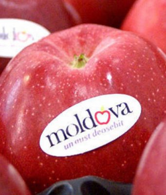 Россия продлила еще на полгода нулевые пошлины на ряд товаров из Молдовы