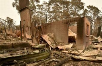 Молдавские спортсмены жертвуют деньги на тушение австралийских пожаров