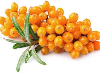 Вот те продукты, которые помогут организму после новогодних застолий