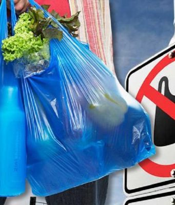 В Молдове ввели штрафы за использование и продажу пластиковых пакетов и посуды
