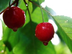 Погода: Последующие сутки пройдут без осадков, температура воздуха существенно не изменится