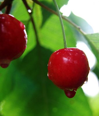 Погода: Последующие сутки пройдут без осадков, температура воздуха существенно не изменится