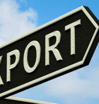 Удвоение количества молдавских компаний-экспортеров фруктов в Россию