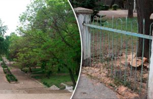 Жители Бельц отстояли Мариинский сад