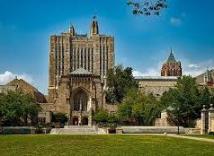 «Продвигает «белый», западный канон в искусстве»