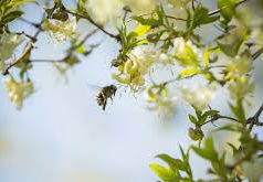 Погода на 2 февраля 2020