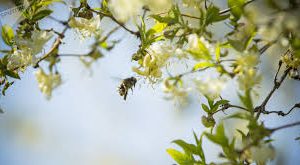 Погода на 2 февраля 2020