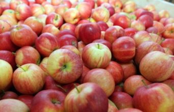 На фоне ожидаемого роста экспорта яблок в Россию молдавские яблоки все равно дорожают яблоки