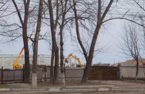 Перед стройкой нового супермаркета в Бельцах будут спилены 50 деревьев и 500 кустарников