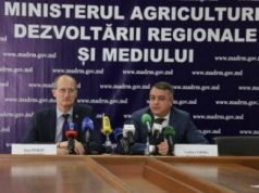 В 2019 г. было получено рекордное количество заявок на субсидирование