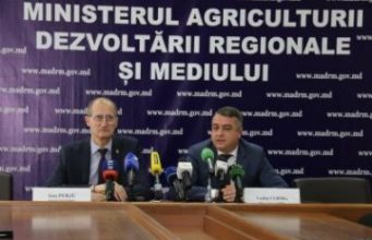 В 2019 г. было получено рекордное количество заявок на субсидирование