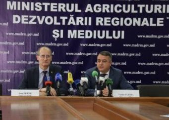 В 2019 г. было получено рекордное количество заявок на субсидирование