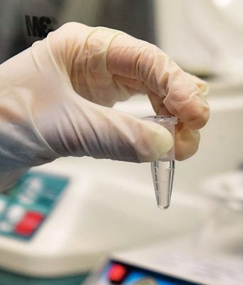 13 новых случаев коронавируса