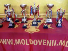 В Новых Аненах прошел республиканский турнир «Воевод-2020»