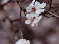 Прогноз погоды на 17 марта