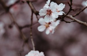 Прогноз погоды на 17 марта