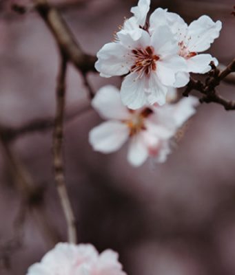 Прогноз погоды на 17 марта