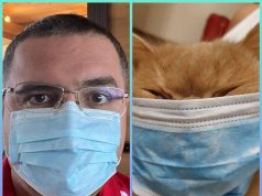 Кот Гектор обвинил Усатого в неадекватности: Он «ВирУсатый»