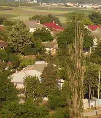 Примэрия Трушен сообщила о 11 случаях заражения коронавирусом в коммуне