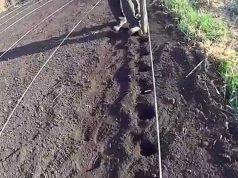 Молдавские фермеры начали новый сельскохозяйственный сезон