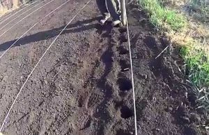 Молдавские фермеры начали новый сельскохозяйственный сезон