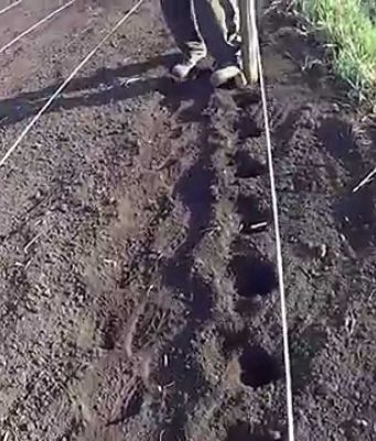 Молдавские фермеры начали новый сельскохозяйственный сезон