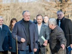 Игорь Додон: необходимо жестко пресекать и наказывать попытки нелегальной вырубки деревьев (ФОТО)