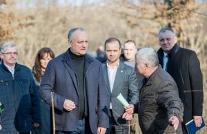 Игорь Додон: необходимо жестко пресекать и наказывать попытки нелегальной вырубки деревьев (ФОТО)