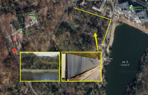 В Кишиневе, в Долине роз, пилят деревья