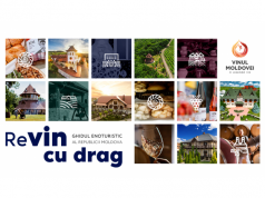 Первый путеводитель винного туризма представлен в Республике Молдова