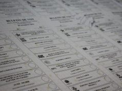 Российские соотечественники выступили за сохранение русского языка в избирательных бюллетенях