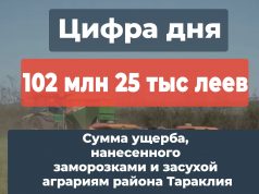 Более 100 млн леев составил ущерб, нанесенный заморозками и засухой аграриям района Тараклия