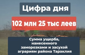 Более 100 млн леев составил ущерб, нанесенный заморозками и засухой аграриям района Тараклия