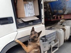 На КПП “Джурджулешты” предотвратили попытку контрабанды сигарет