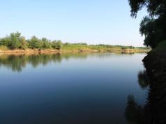 Виорел Поздыркэ возглавил Унгенский речной порт Прут