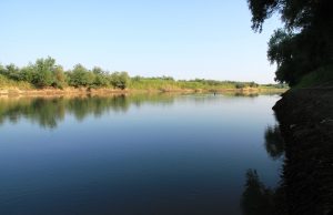 Виорел Поздыркэ возглавил Унгенский речной порт Прут