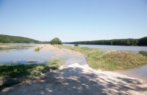 В селе Телица затопило почти всё