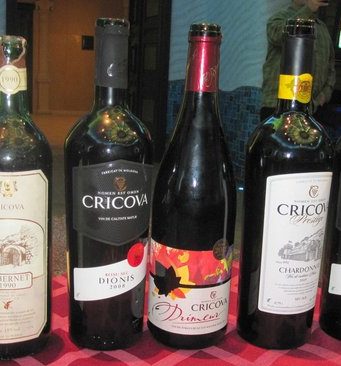 С бывшего директора Криковского комбината сняли обвинение