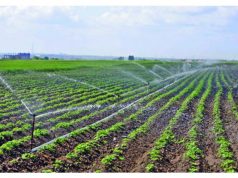 Блок ПКРМ-ПСРМ решил помочь фермерам сельское хозяйство