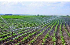 Власти готовят помощь фермерам сельское хозяйство